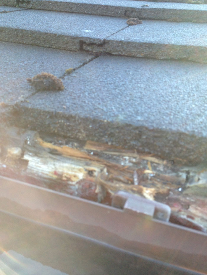 Gutter Cleaning Company Glasgow